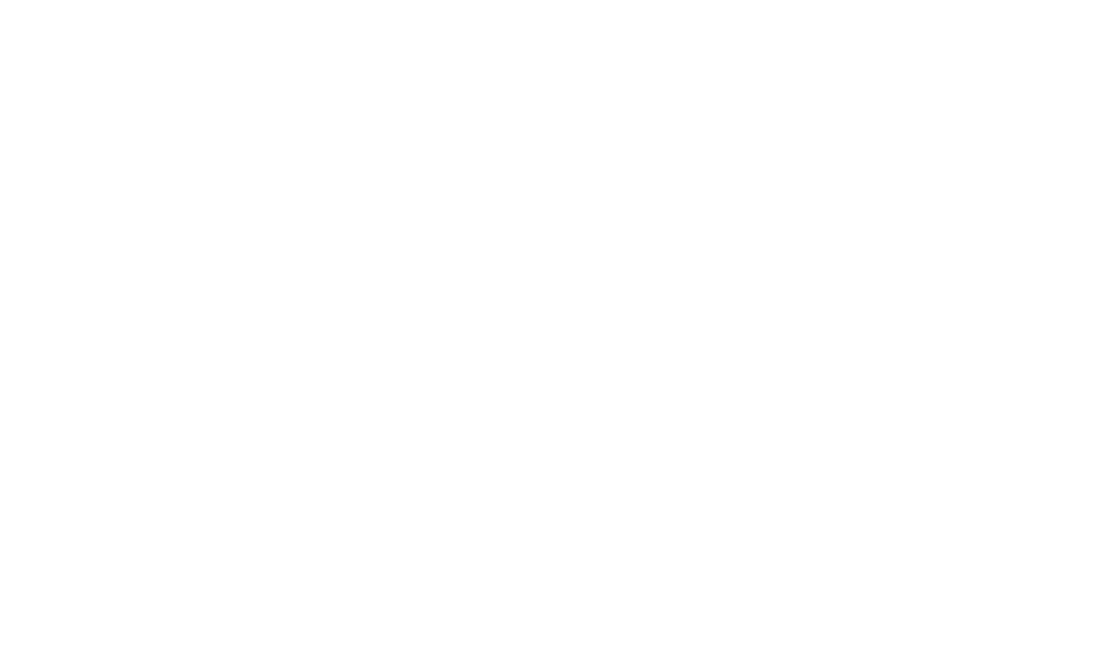 Siegel „Software Made in Germany“